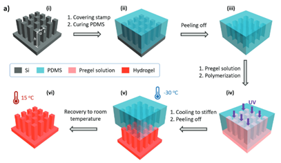 《small》：水凝胶结构微柱化调节润湿与粘附
