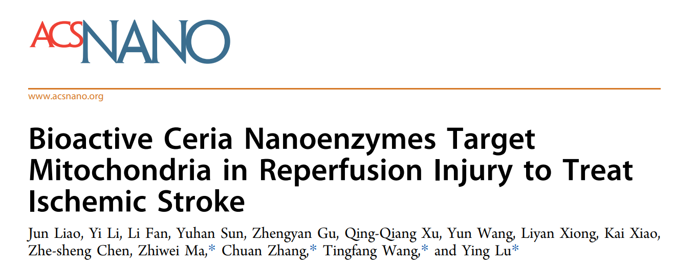 海军军医大学药学院的鲁莹教授团队ACS NANO（IF=15.8）：生物活性铈纳米酶靶向线粒体再灌注损伤治疗缺血性脑卒中